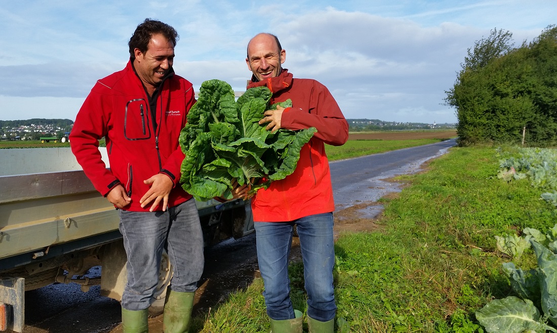 Orhan Güven und Lothar Tolkstorf freuen sich über den Bio-Butterkohl  © GartenRadio.fm