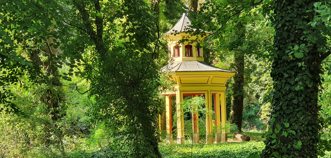 Durch den Teich im Schlosspark, an dessen Ufer eine romantische Pagode steht, wird der Gingko optimal mit Wasser versorgt © GartenRadio.fm
