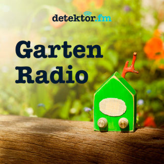 detektor.fm
