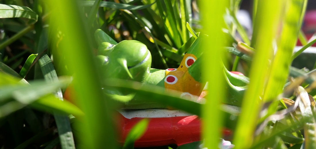 Wie findet man die ideale Gartenbeziehung?  © GartenRadio.fm
