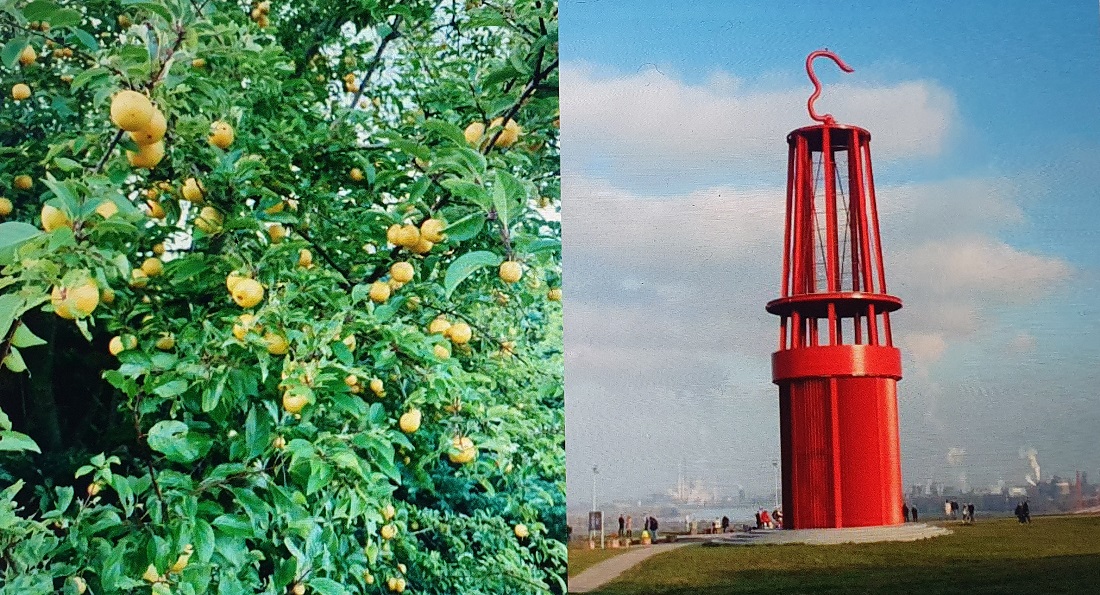 Halde Rheinpreußen © Katharina Heberer
