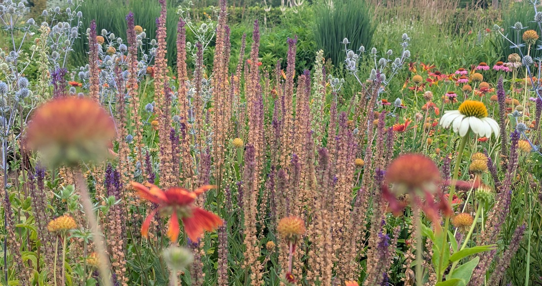 Unterschiedliche Areale auf dem Gärtnerei zeigen harmonische Pflanzenkombinationen. © Gartenradio.fm 