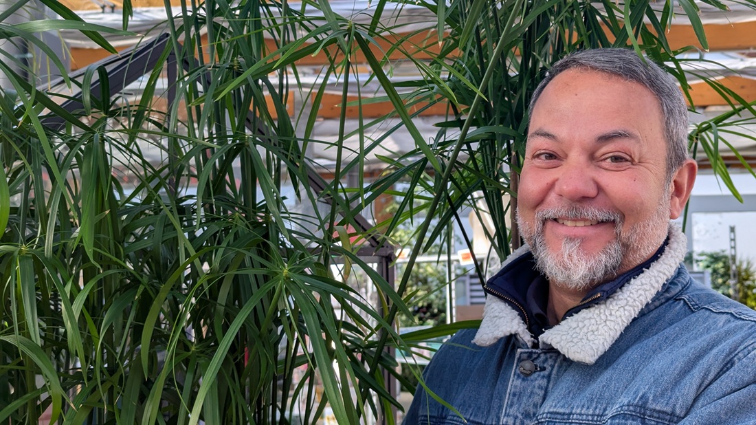 Janek Weber, Gärtner in der Alexianer Klostergärtnerei mit einem Papyrus.