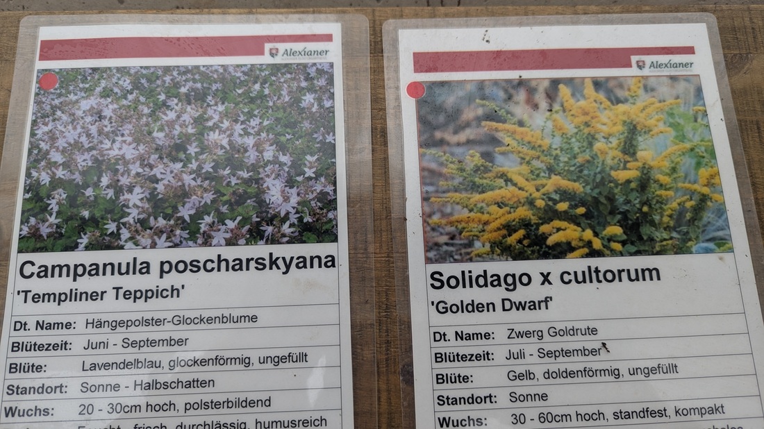 Bei beiden Arten hat Dagmar Hauke einen besonderen Drang zur Ausbreitung festgestellt.