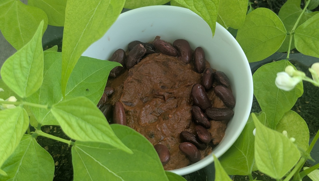 Refried Beans "Superlecker - schmeckt zu fast allem", sagt Dagmar Hauke