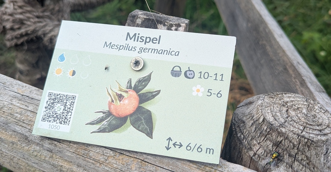 Alle 150 essbaren Pflanzen sind beschriftet. Vereine können sich die QR Codes bei über das Projekt urbane Waldgärten kostenlos downloaden.