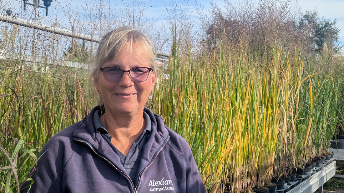 Petra Hennes, Gartenbauingenieurin in der Alexianer Klostergärtnerei, liebt es, Kunden bei der Stegreifplanung zu unterstützen.