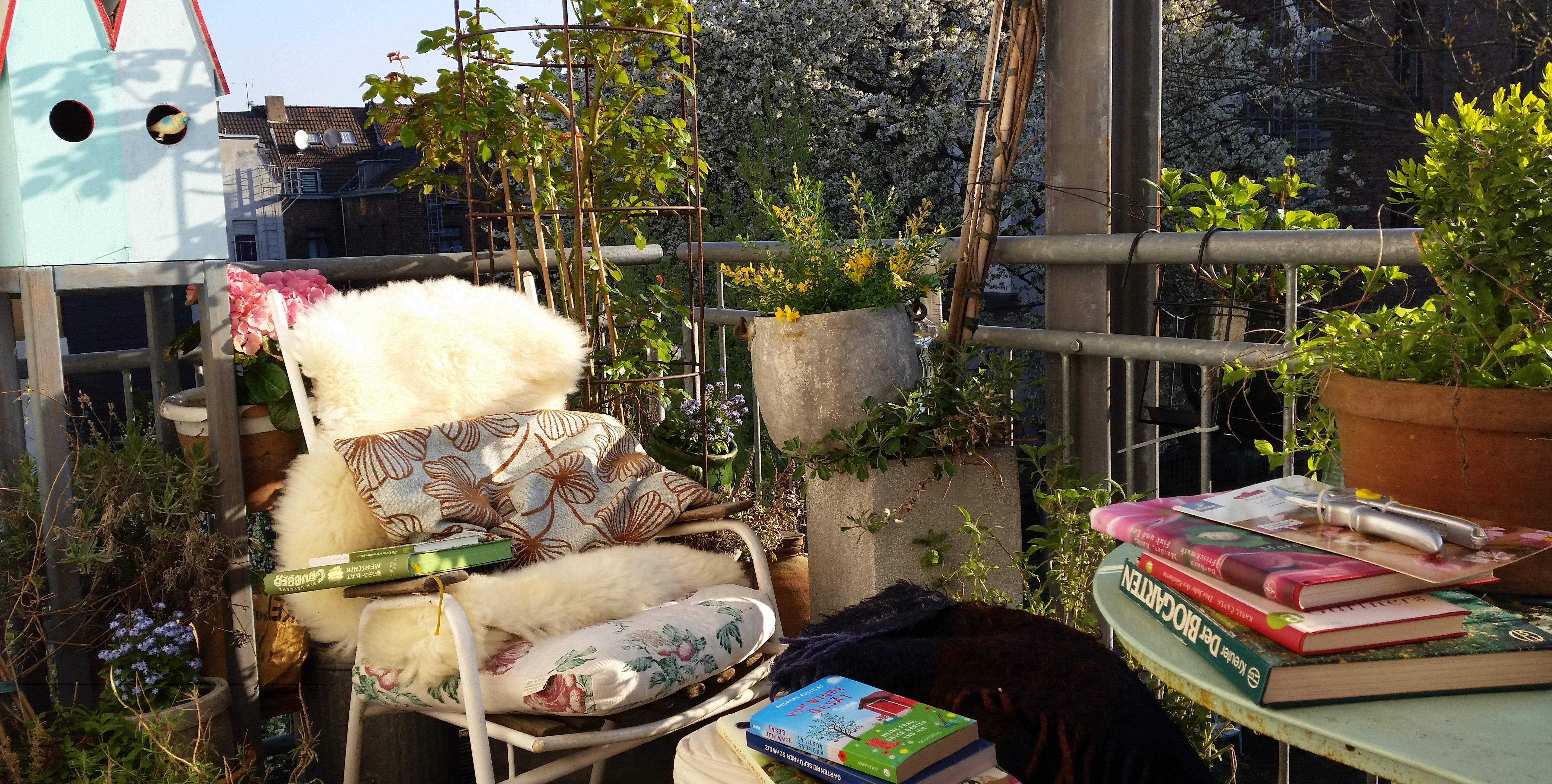 Ob Garten oder Balkon - ein lauschiges Plätzchen zum Lesen findet sich überall © GartenRadio.fm