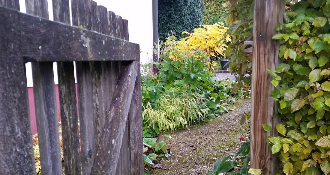 Der Zaun um den Vorgarten schützt vor Rehen © Gartenradio.fm