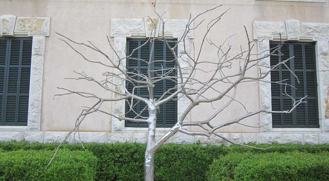 Ein Feigenbaum aus Stahl © GartenRadio.fm