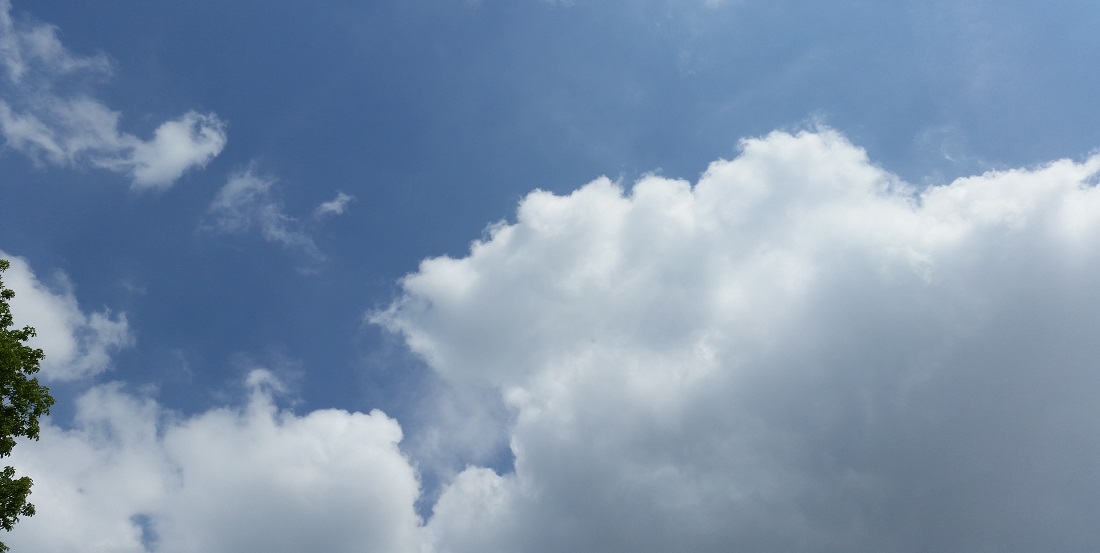 Nicht nur die Art der Wolken ist wichtig, sondern auch in welche Richtung sie ziehen © GartenRadio.fm