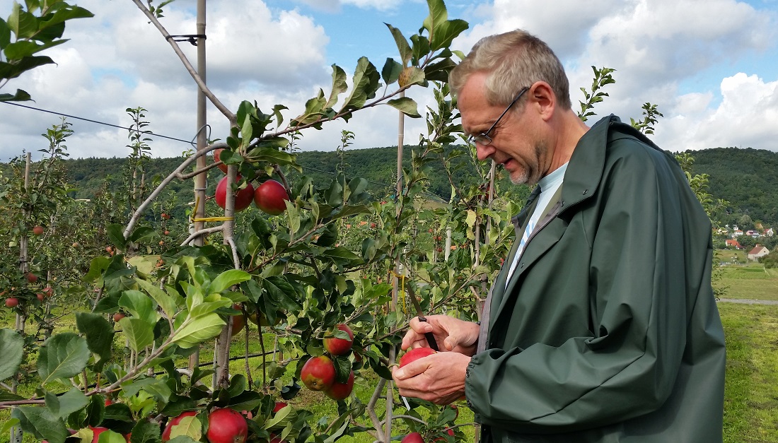 Ein kleines Messer hat Apfelforscher Andreas Peil immer in der Tasche © GartenRadio.fm