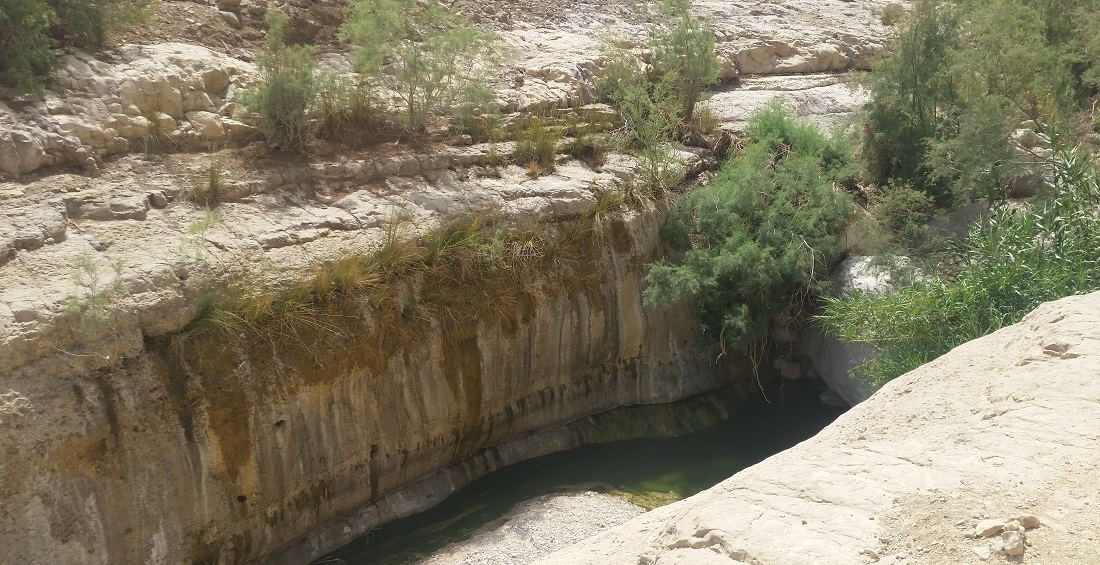 Der Schatz von En Gedi - Wasser im Wadi Arugot © GartenRadio.fm