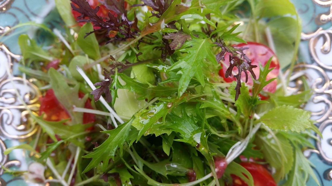 Egal welche Sorte, der eigene Salat schmeckt am besten  © GartenRadio.fm
