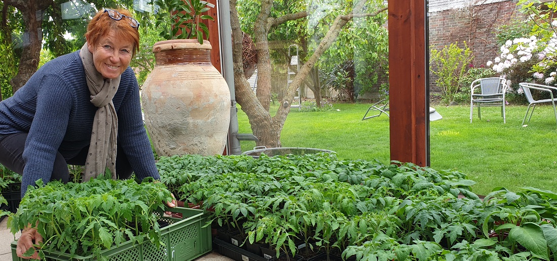 Adelheid Coirazza hat sich auf historische Tomatensorten und Wildtomaten spezialisiert. © GartenRadio.fm