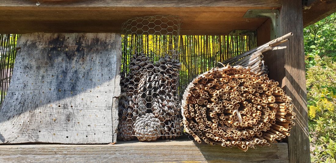 Ein gutes Insektenhotel hat unterschiedlich größe Löcher mit glatten Kanten © GartenRadio.fm