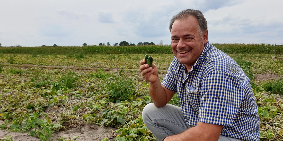 Uwe Schieban, Geschäftsführer der Agrargenossenschaft Unterspreewald mit den letzten Gurken dieser Ernte-Saison  © GartenRadio.fm