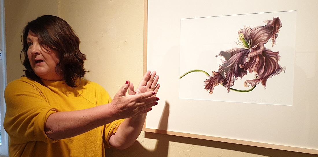 Mary Dillon zeigt wie bewegt das Verblühen einer Tulpe sein kann © GartenRadio.fm