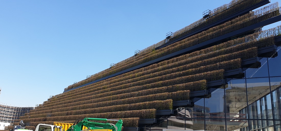 Der Kö-Bogen II in Düsseldorf. Das Einkaufszentrum mit seinen acht Kilometer langen Buchenhecken auf der Fassade soll noch im Jahr 2020 fertiggestellt werden © GartenRadio.fm