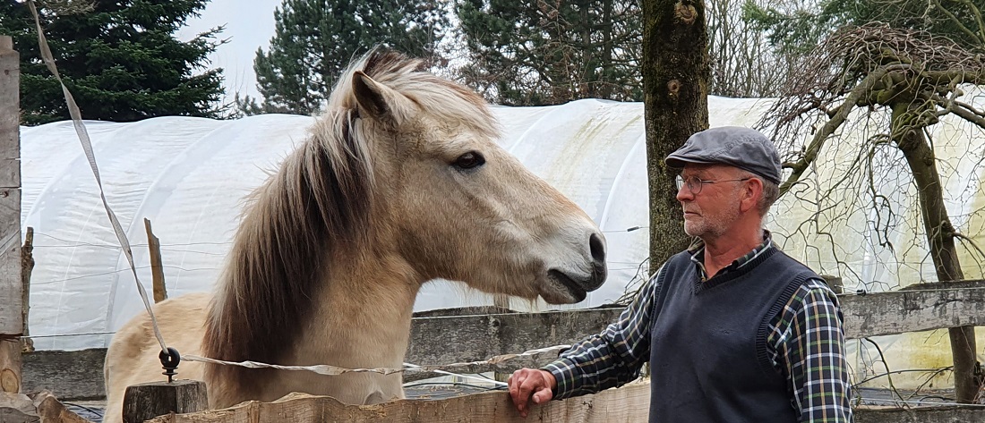 Ralf Upmann hat einen pferdestarken Gärtnergehilfen mit Namen Niko © GartenRadio.fm