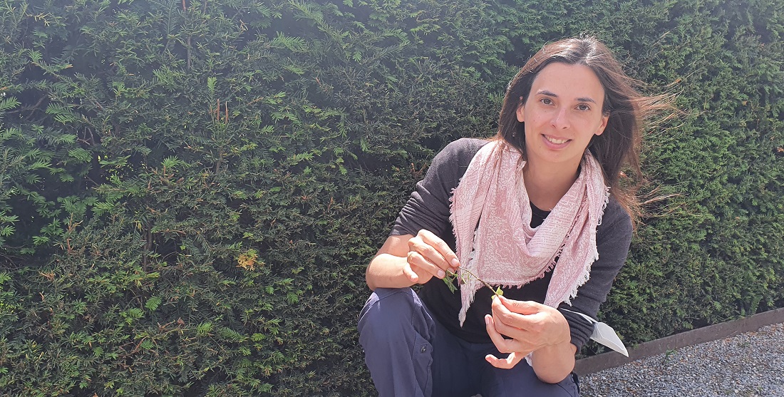 Die Biologin Dr. Heidi Käch hat über den "Zaubertrank" der Blattläuse promoviert. © GartenRadio.fm