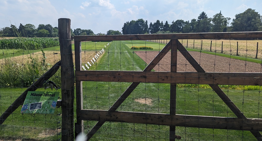 Seit 8 Jahren wird auf dem Versuchsfeld am Rand von Krefeld Saatgut getestet. © GartenRadio.fm