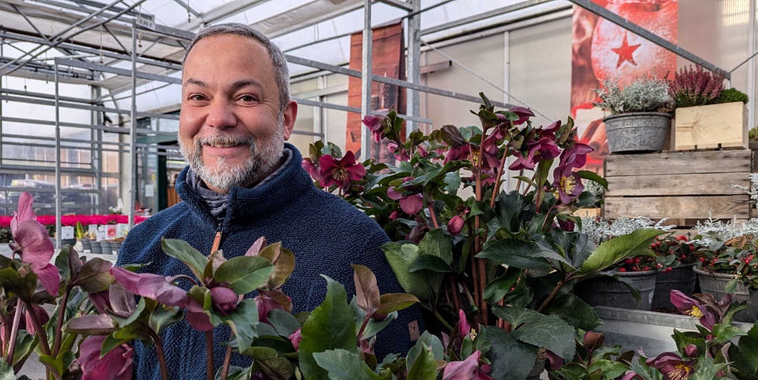 Gärtner Janek Weber zwischen Kreuzungen von Christ- und Lenzrose. © GartenRadio.fm