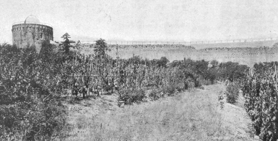 Traurige Ernte im Weinberg von Leo XIII. um 1900 