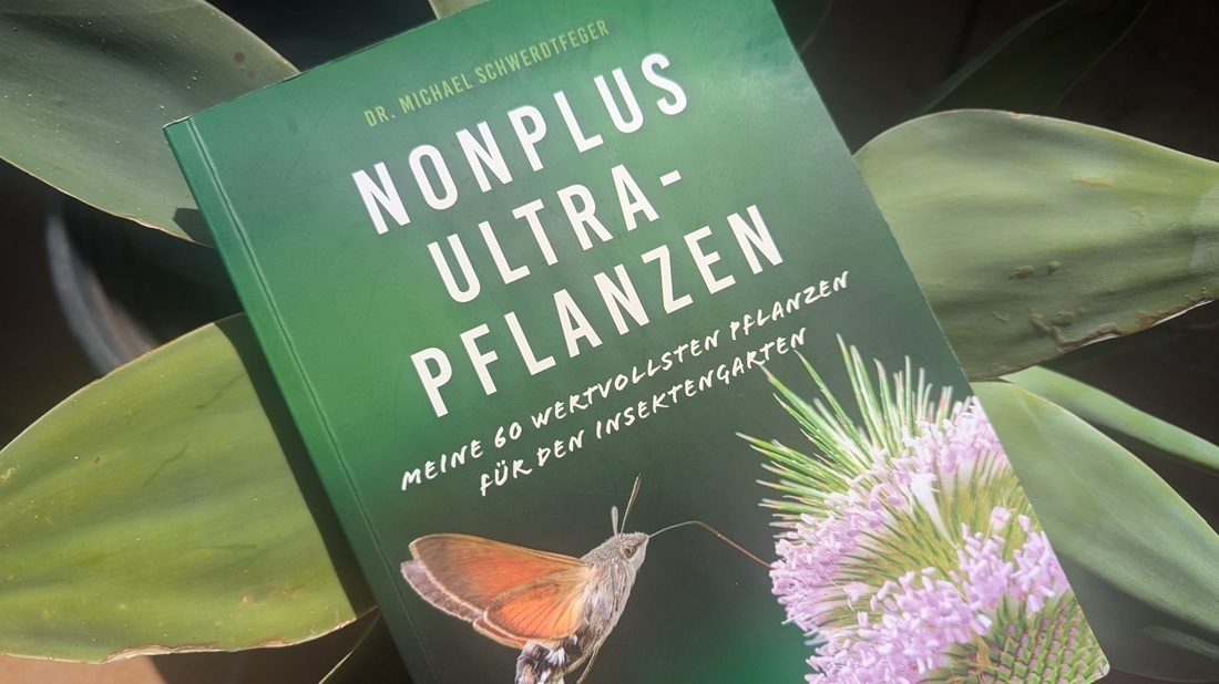 Nonplusultra-Pflanzen für alle Standorte im Garten und auf dem Balkon. © GartenRadio.fm