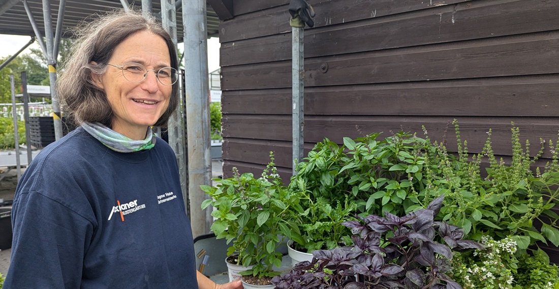 Bei Gärtnermeisterin Dagmar Hauke gehört Basilikum auf den Teller und in den Garten.