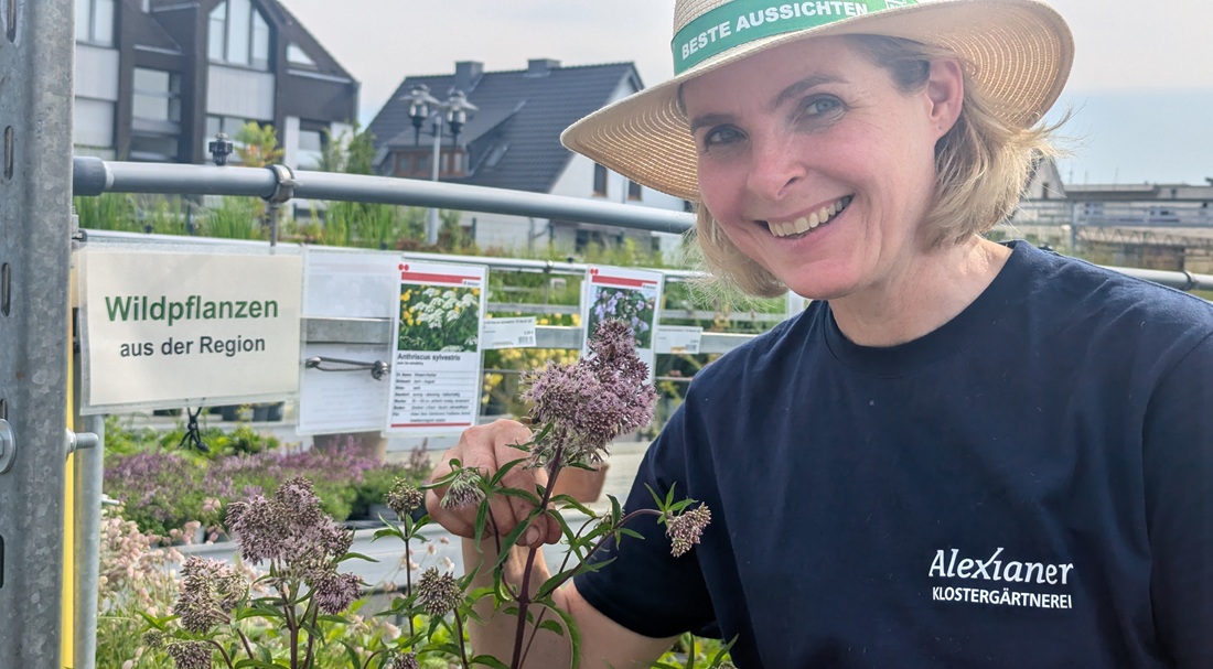 Gärtnerin Susanne Lammich freut sich darüber, das Wildpflanzen immer öfter nachgefragt werden. 